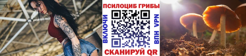 Галлюциногенные грибы прущие грибы  Купить где  Среднеуральск 