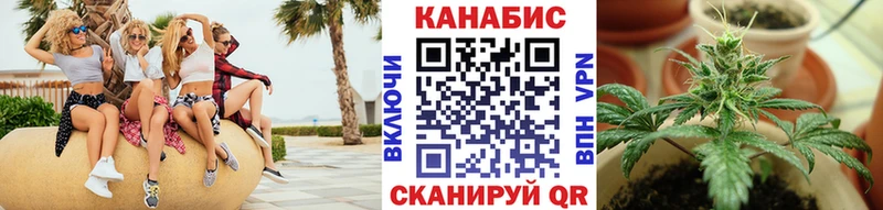 Купить  Среднеуральск  Конопля сатива 